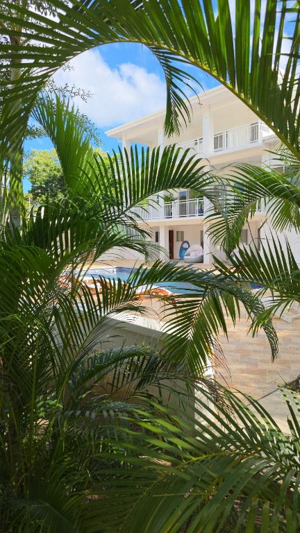 a palm tree in front of a white building at Casa Venus in El Gigante