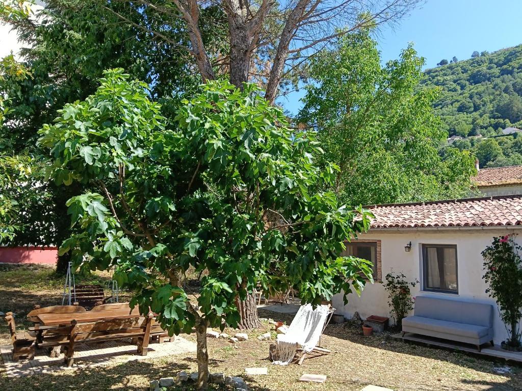 a house with a picnic table and a tree at The Garden House in Boiano