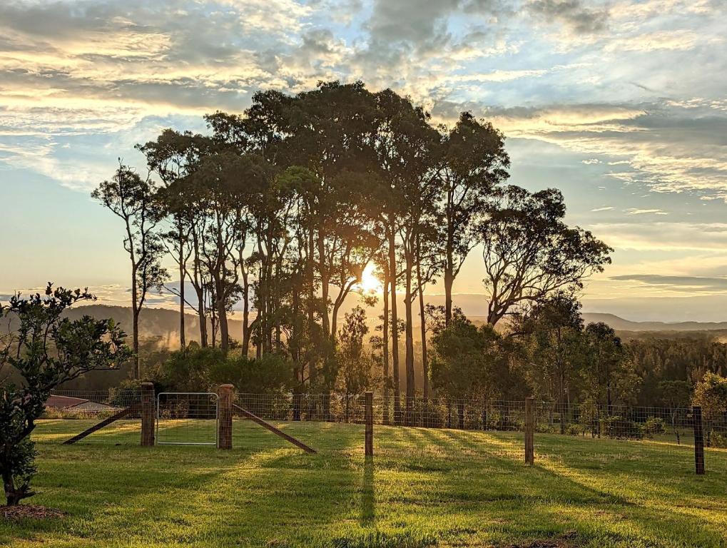 a group of trees in a field with a fence at Byadbo in Tuncurry