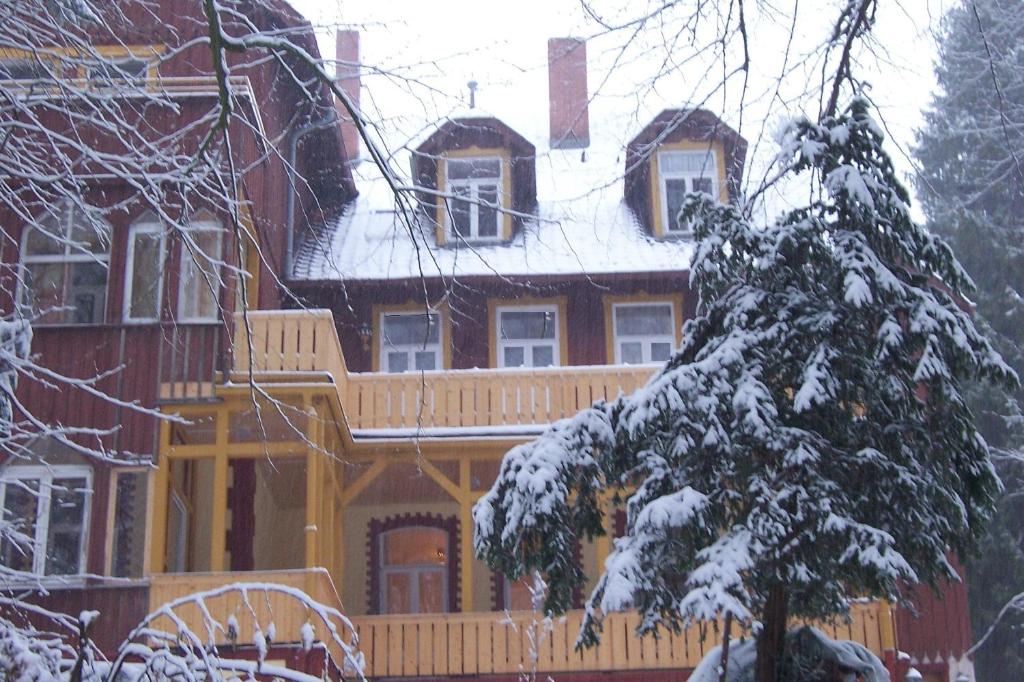 ゴスラーにあるForest-Lodgeの雪の大黄色い家