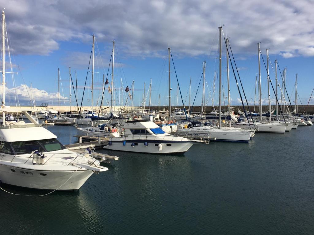 a group of boats docked in a harbor at Puerto Calero Boat in Puerto Calero