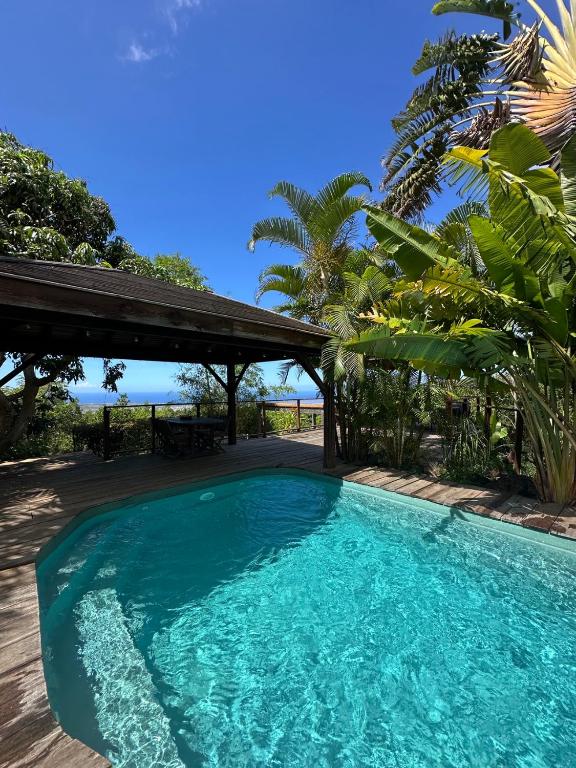 a swimming pool in the middle of a yard at Bambou cabane intimiste in Saint-Louis