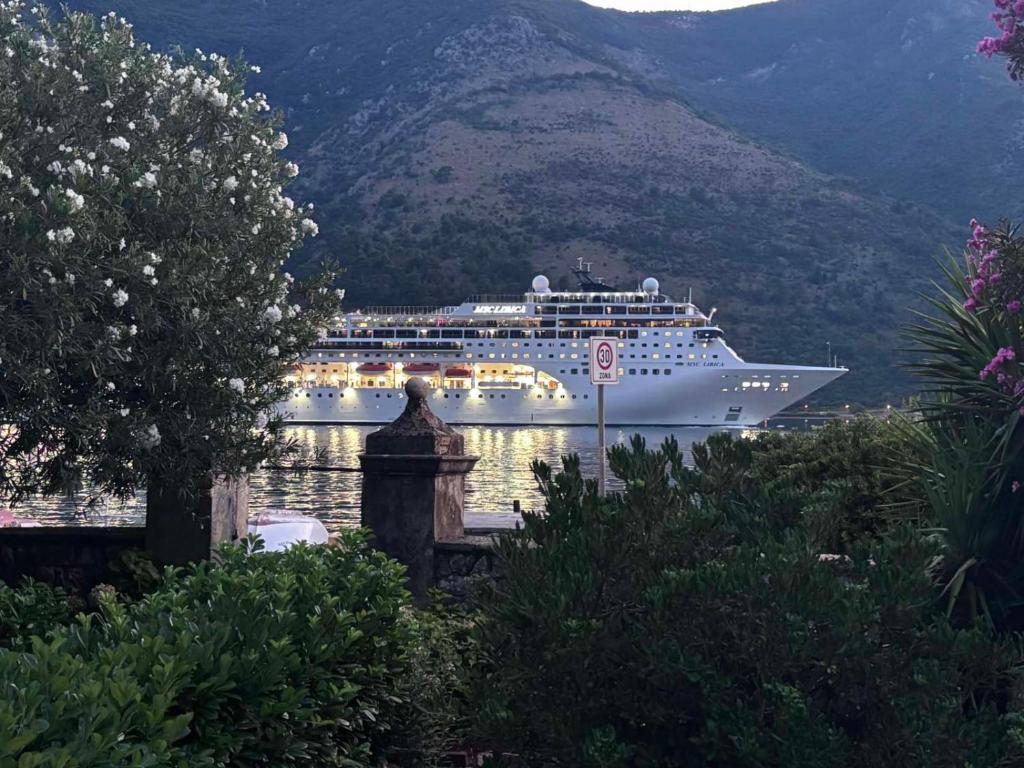 a cruise ship is docked in the water at Anita room in Kotor