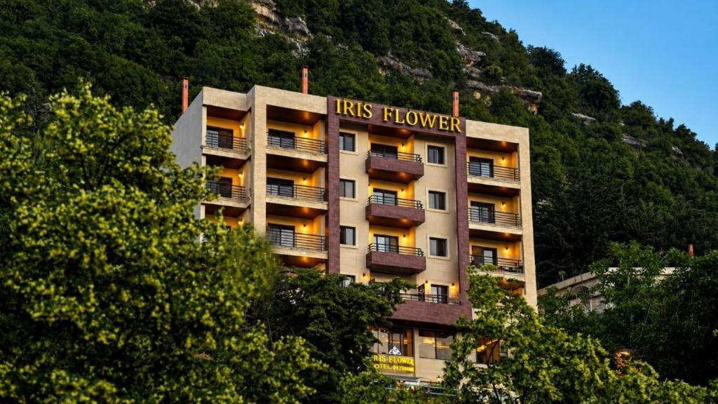 Pogled na planinu ili pogled na planinu iz hotela