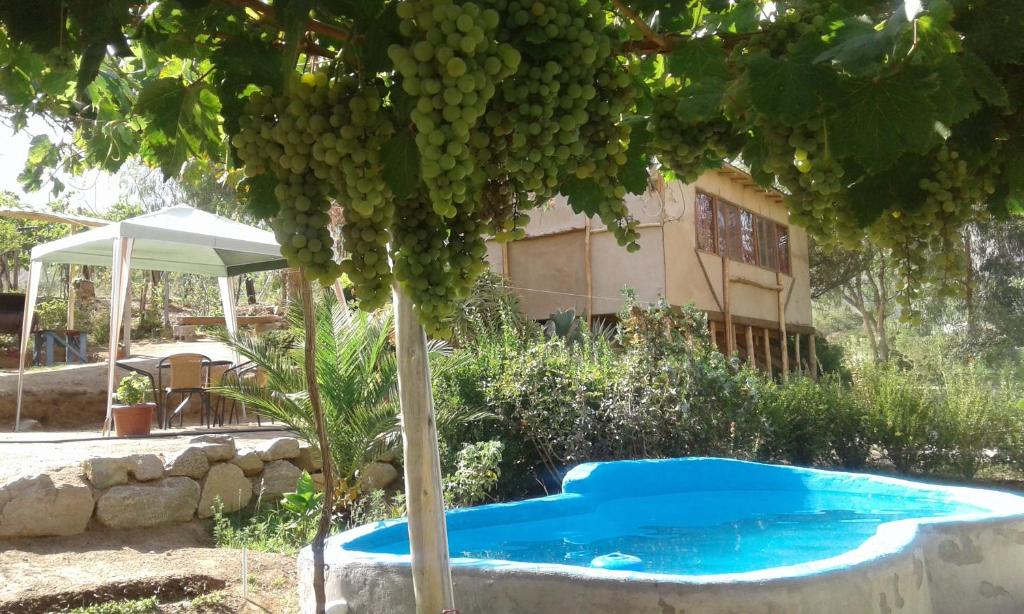 einen Pool im Garten mit einem Baum und einem Haus in der Unterkunft Cabaña Canto del Viento, 4 personas in Horcon