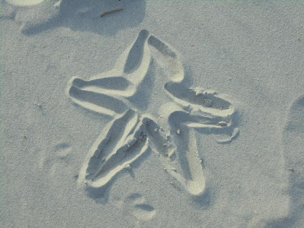 Fotografie z fotogalerie ubytování Ostseestern v destinaci Damp