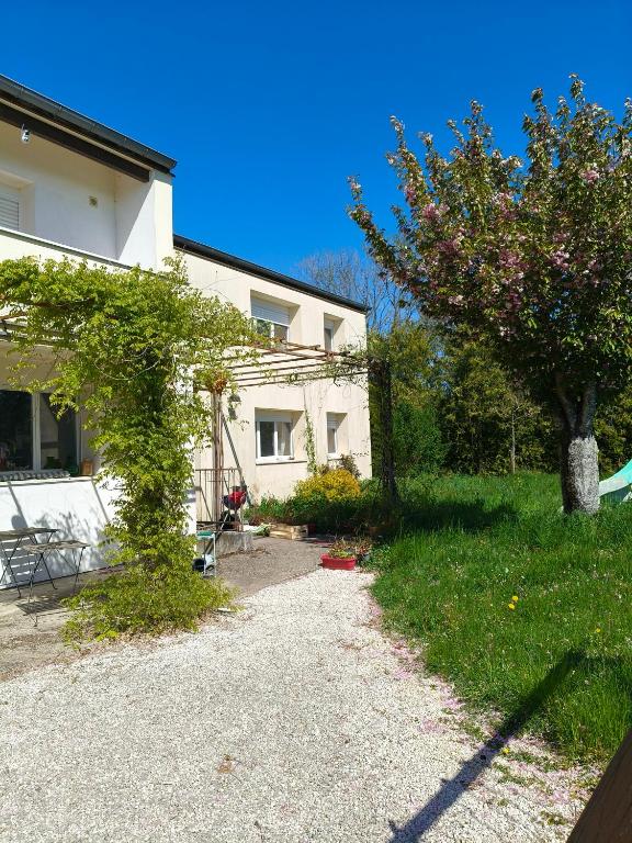a house with a tree in front of a yard at Chambre d'hôte Mont mouton in Laferté-sur-Amance