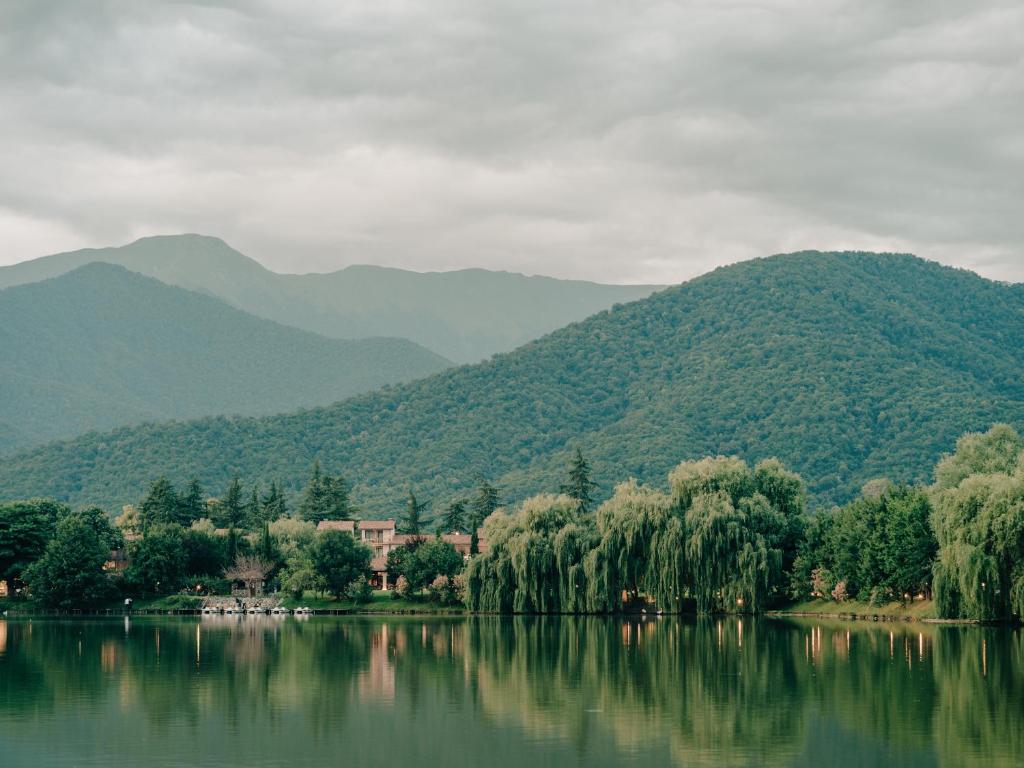 a view of a lake with mountains in the background at Lopota Lake Resort & Spa in Napareuli