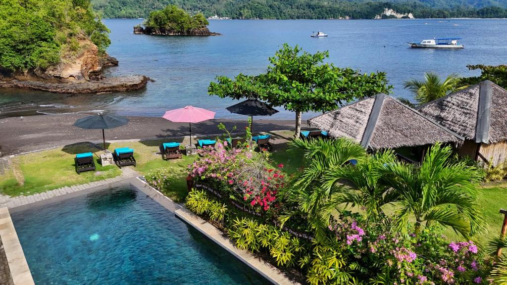 a resort with a pool and chairs and umbrellas at Cocotinos Lembeh a Boutique Dive Lodge in Bitung