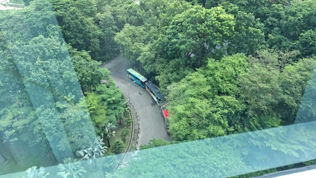 a train traveling down a road in a forest at wyndham panbil sanctuary in Kangboi