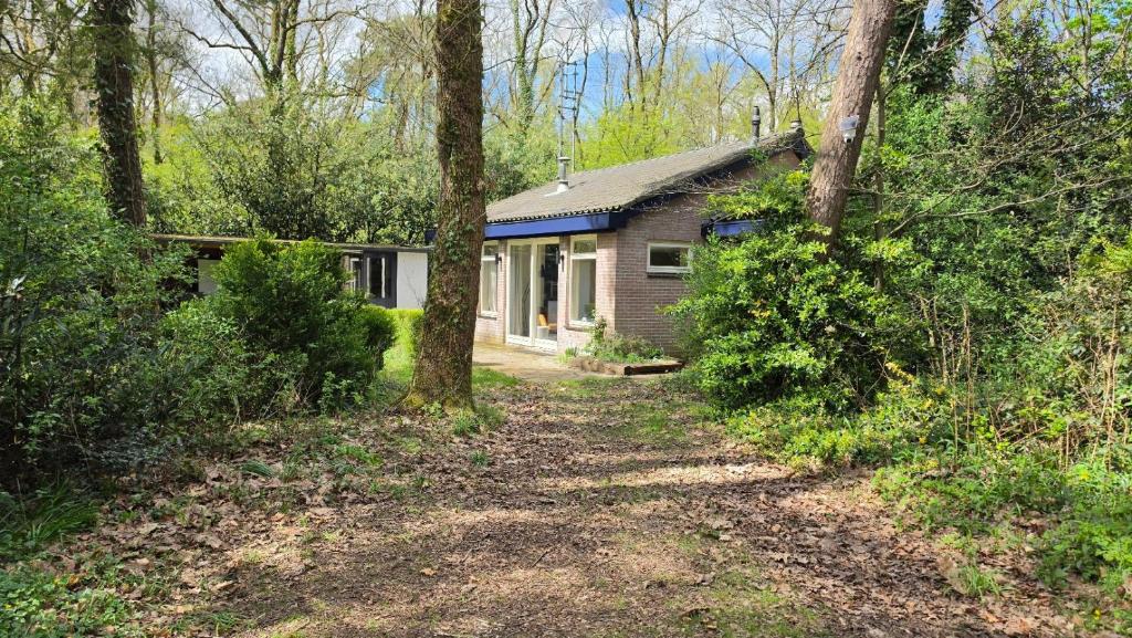 a small house in the woods with a dirt road at Huisje Piet in Hoenderloo