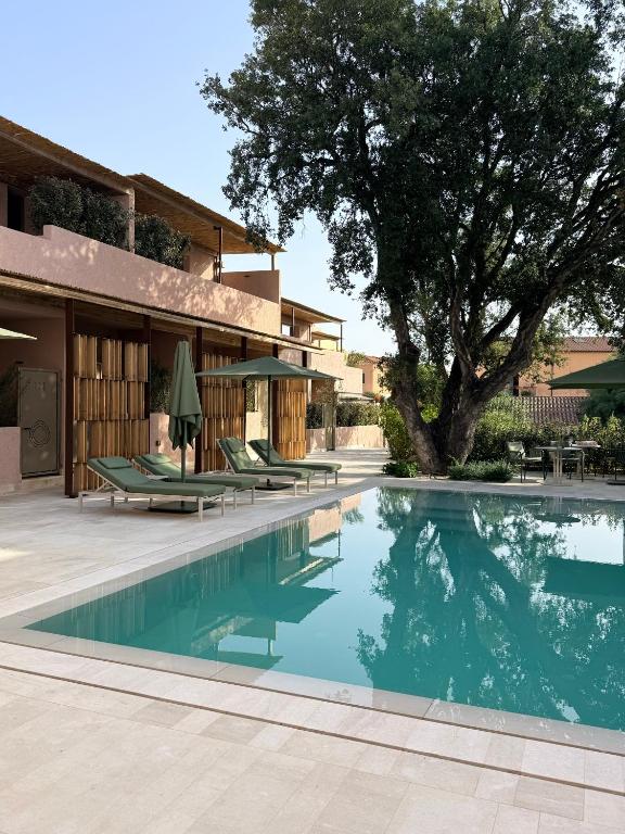 a swimming pool with lounge chairs and a tree at La Suera San Pantaleo in San Pantaleo