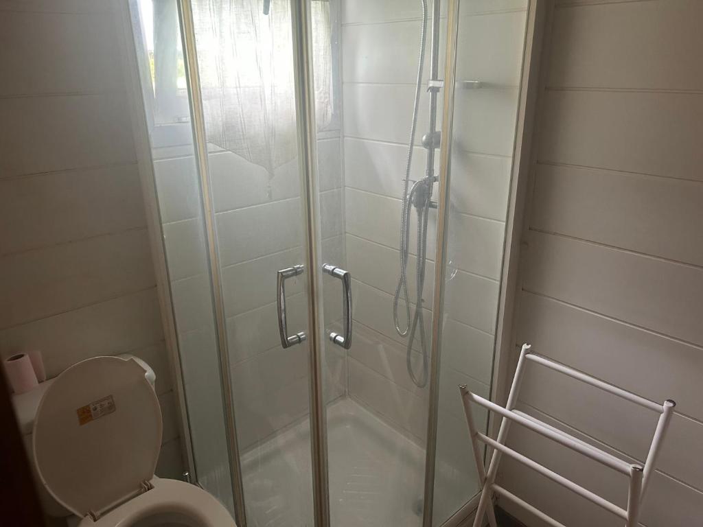 a shower with a glass door next to a toilet at Hortensia in Carnoët