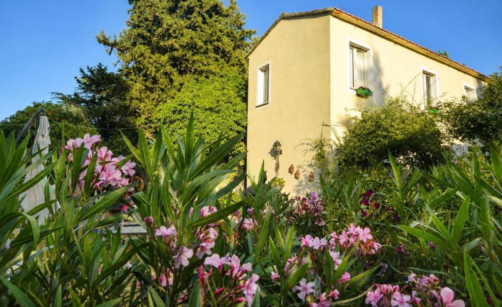 a garden with pink flowers in front of a house at La Casetta in San Terenziano