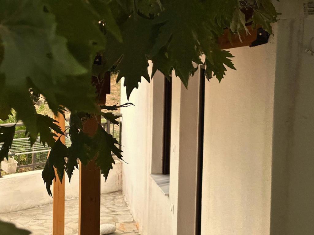 a green tree in front of a building at Meliti Home in Therma