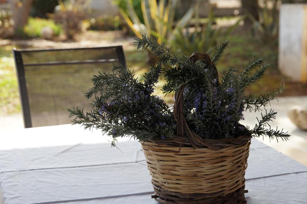 Agriturismo Calamate - 18