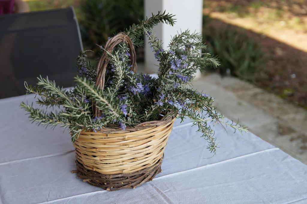 Agriturismo Calamate - 19