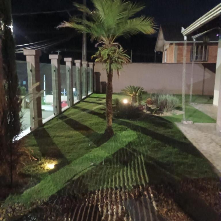 a palm tree in a yard at night at Casa familiar in Piên
