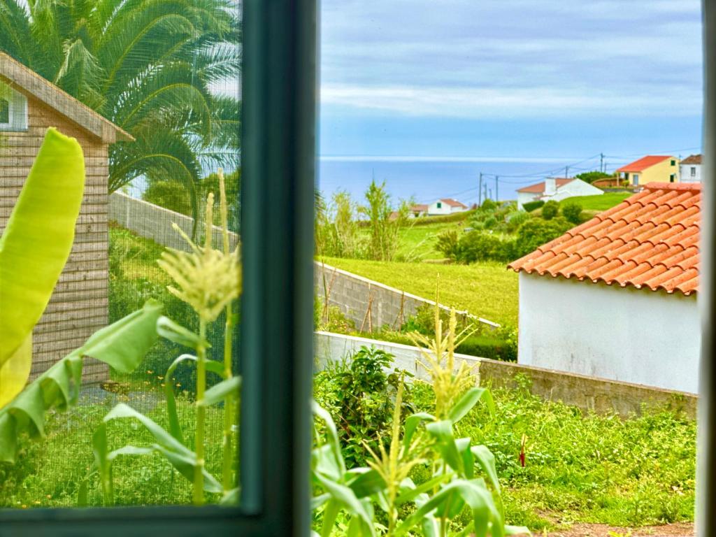 a view of the ocean from a window at AAA plus in Nordeste