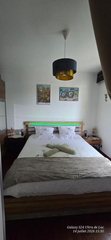 a bedroom with a large bed with a light above it at Superbe Suite parentale Chez l'habitant avec SPA et petit déjeuner in Saint-Pierre