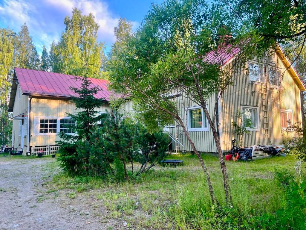 a house with a tree in front of it at Hyvän Elämän Koulun huoneisto Good Life Homestay Apartment in Ahmovaara