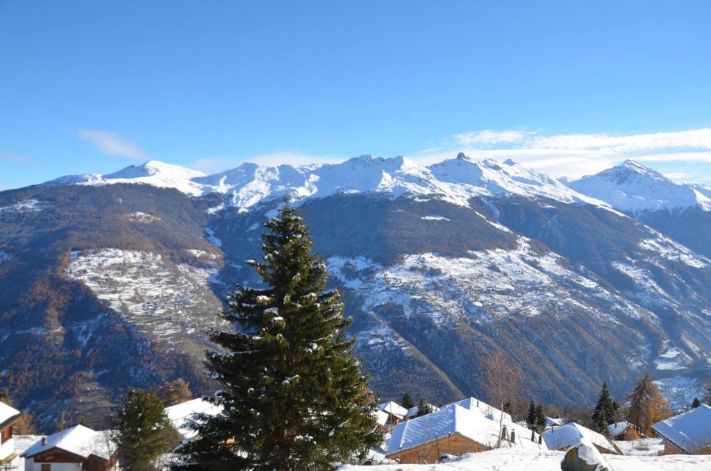 a christmas tree on top of a snowy mountain at Immeuble Belvédère in Les Collons
