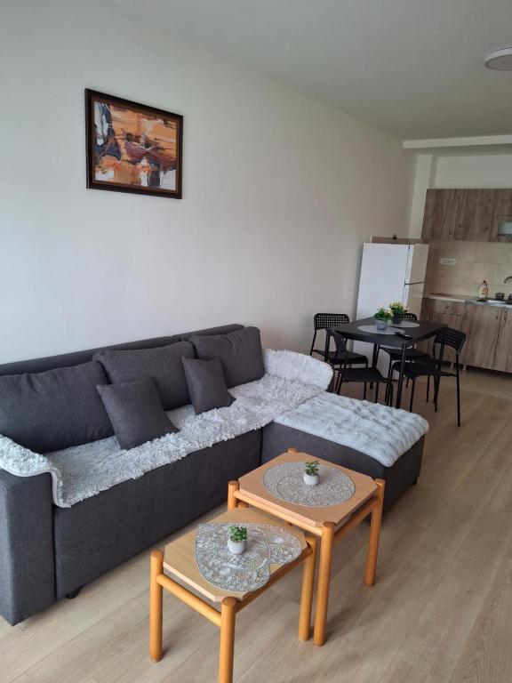 a living room with a couch and a table at Zmaj LUX 2 in Mladenovac