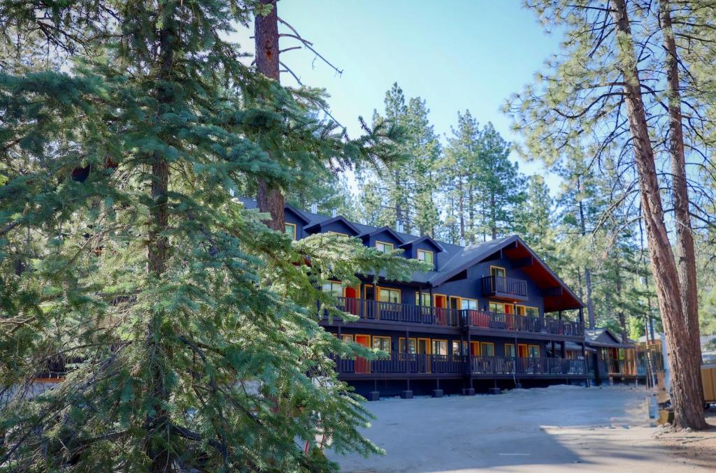 a large building in the woods with trees at Arkouda House in Big Bear Lake