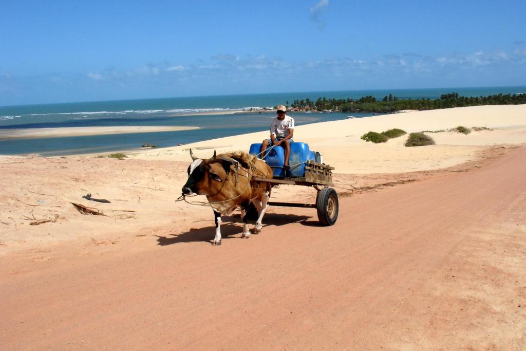  Pousada Barra do Mundaú