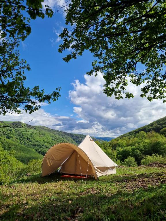 a tent in the middle of a field at Ferme équestre de la Molière in Naves