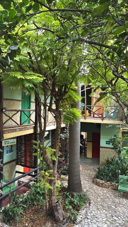 two trees in front of a building with a bench at Hostal Doña Chava in Pedernales