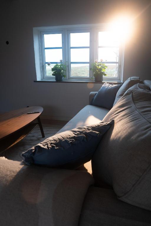 a couch in a living room with two windows at Almeboda in Österlen in Östra Hoby