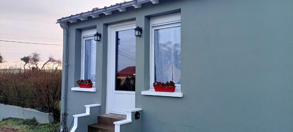 a blue house with two windows and two potted plants at Entre vigne et Loire in La Coindassière