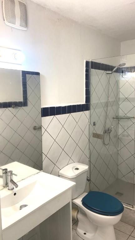a bathroom with a toilet and a sink and a shower at Appartement une chambre cupecoy in Cupecoy