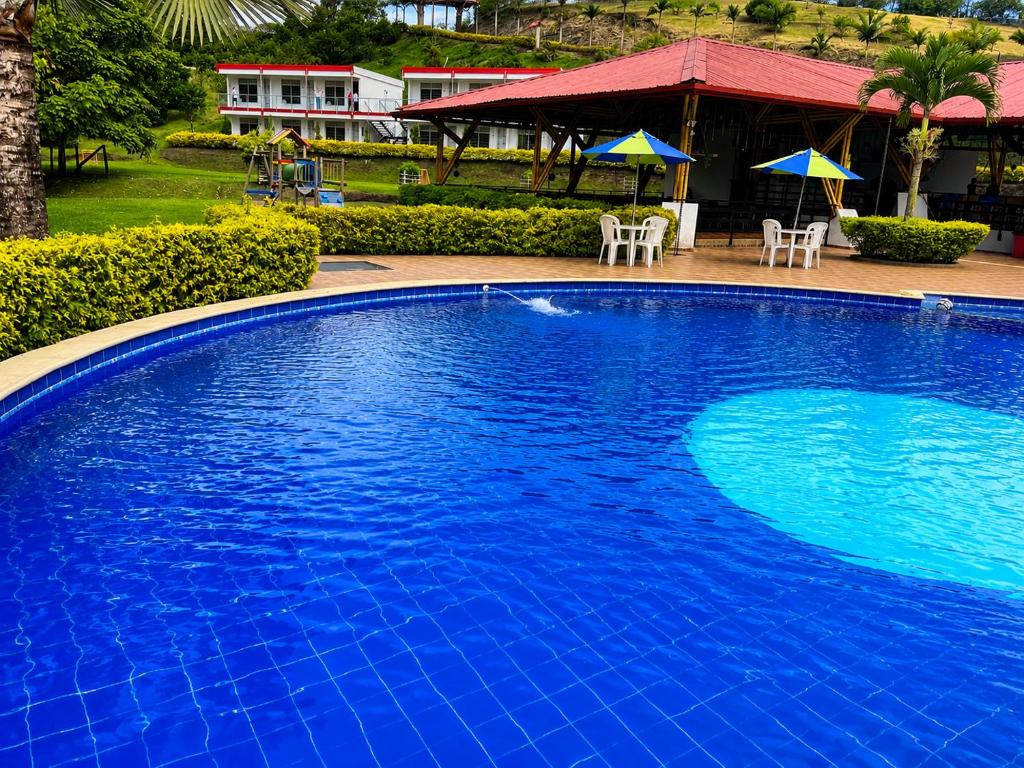 a large blue swimming pool with chairs and umbrellas at Hotel Takuara in Vergara