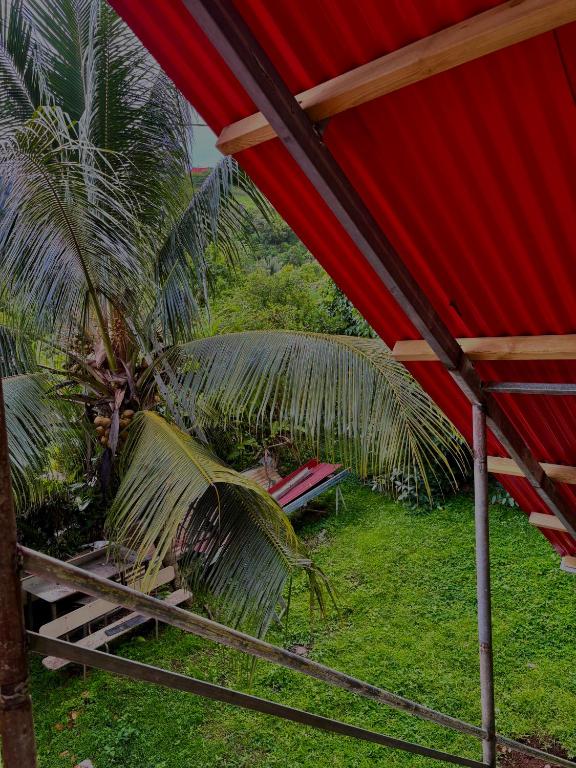 a red tent with chairs and a palm tree at Le paradis créole in Sainte-Luce
