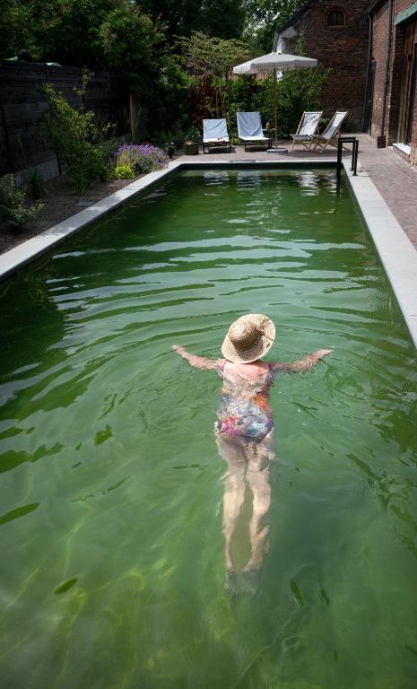a woman in the water in a swimming pool at B&B Hof Beygaert in Aalst