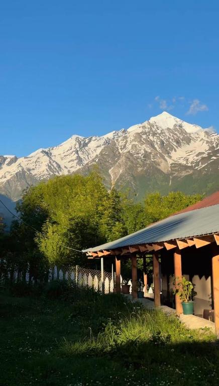 a building with a mountain in the background at Guesthouse Tetnuldi in Kʼolashi