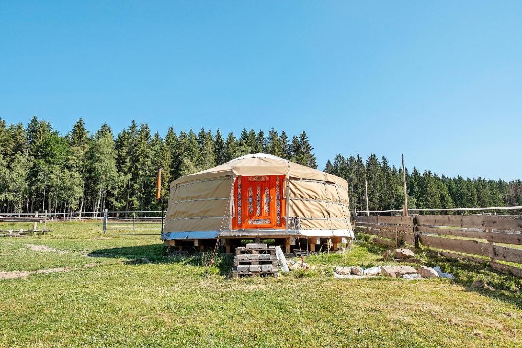 a yurt sitting in a field in a field at Jurte Falken Nest in Eisenbach