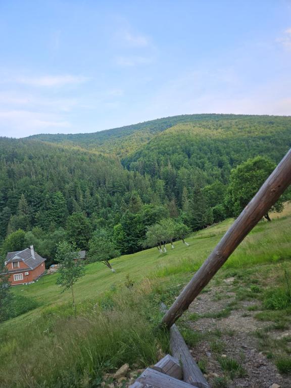 Наш Край фото 5