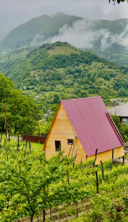 a barn with a purple roof in a field at ჰარმონია Harmony Cottage in Ambrolauri
