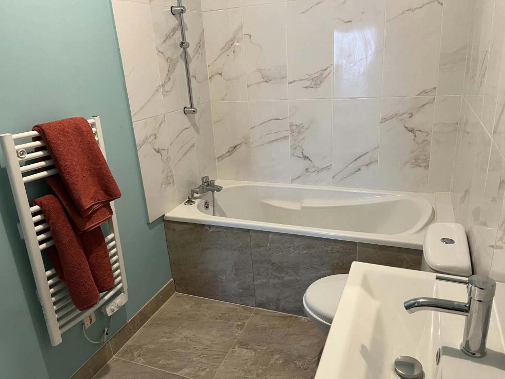 a bathroom with a tub and a toilet and a sink at studio in Saint-Pourçain-sur-Sioule