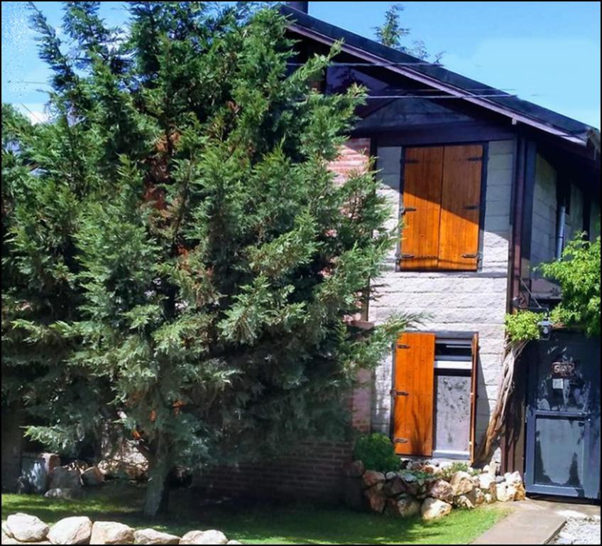 a house with a pine tree in front of it at Lo de Adriana in Tandil