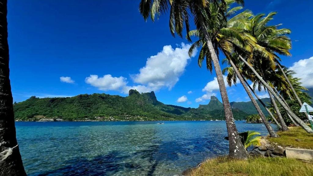 Villa Vai Ora - 3 chambres, piscine et vue lagon - photo 6 - Moorea, Polynésie