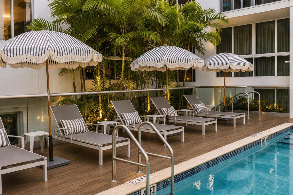 a row of chairs and umbrellas next to a pool at Habitat Residence in Miami