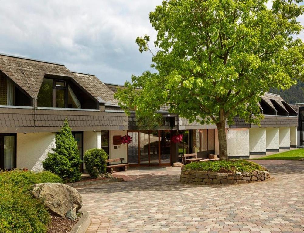a building with a tree in front of it at Sunday Hotel Willingen in Willingen
