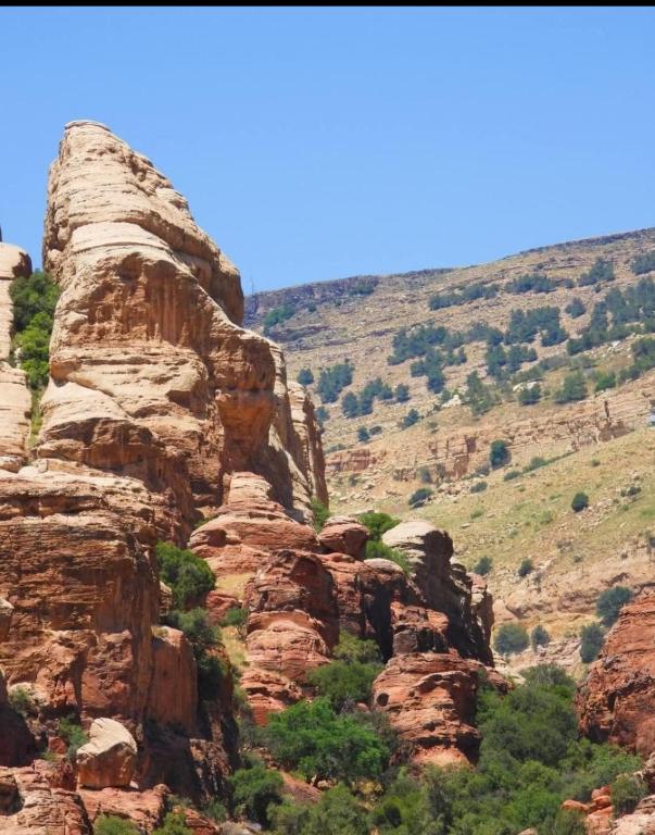 Blick auf einen felsigen Berg mit Bäumen in der Unterkunft Dana Village Lodge in Dana