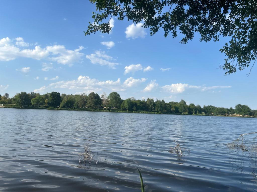 a large body of water with trees in the background at La maison bleue de Béa in Musigny
