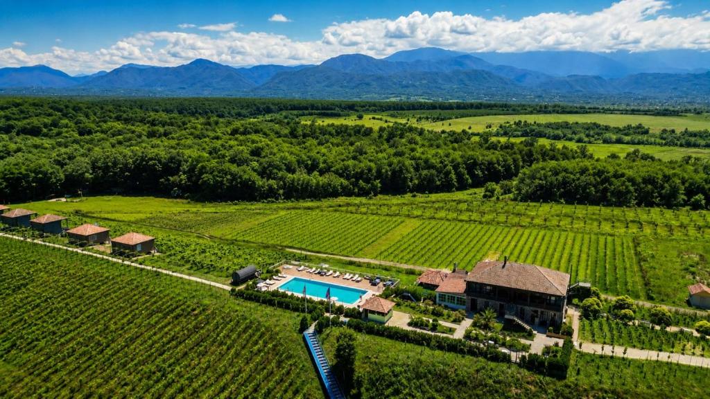 an aerial view of a estate with a swimming pool in a vineyard at Chateau Vartsikhe in Varts'ikhe