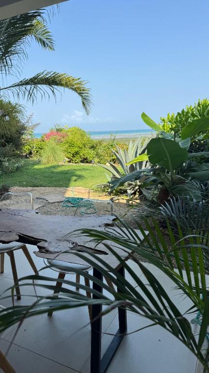 a view of a patio with two chairs and plants at ZanziStar Beach Hotel in Mfumbwi